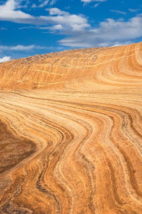 Framed Coyote Buttes V Print