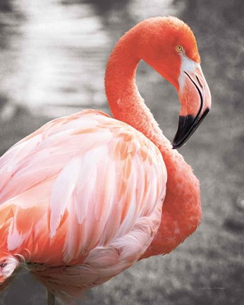 Framed Flamingo I on BW Print