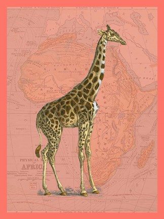 Framed African Animals on Coral I Print