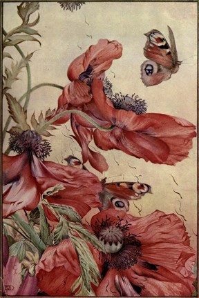 Framed Garden Fantasy III Print