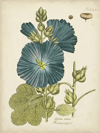 Framed Eloquent Botanical IV Print