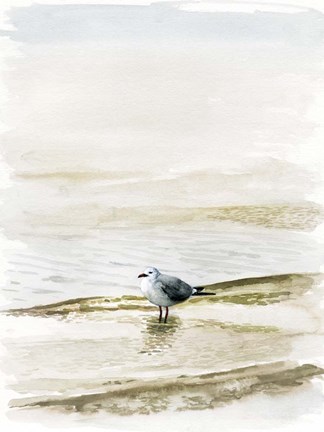 Framed Coastal Gull II Print