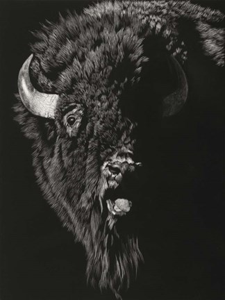 Framed Wild Scratchboard IV Print