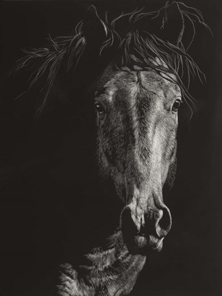 Framed Wild Scratchboard VI Print