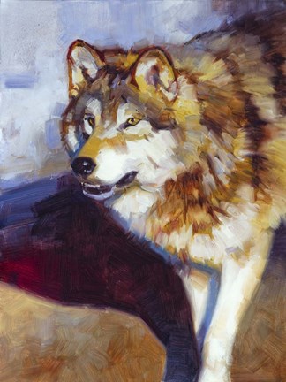 Framed Wolf Study II Print
