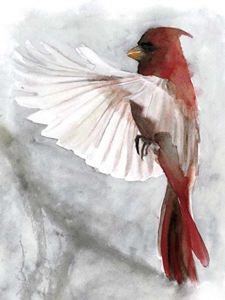 Framed Cardinals II Print