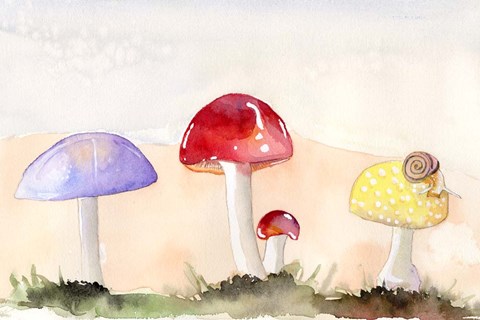 Framed Faerie Mushrooms II Print