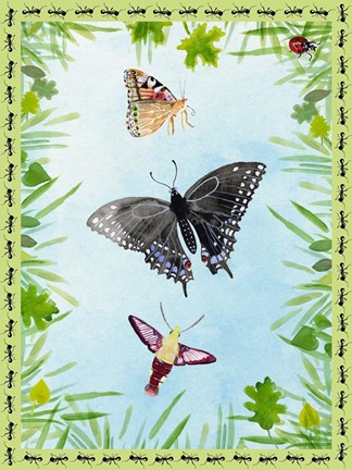 Framed Bug Collector II Print
