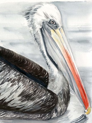 Framed Grey Pelican I Print