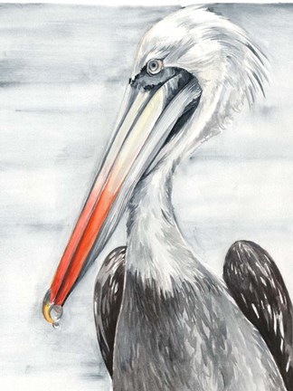 Framed Grey Pelican II Print