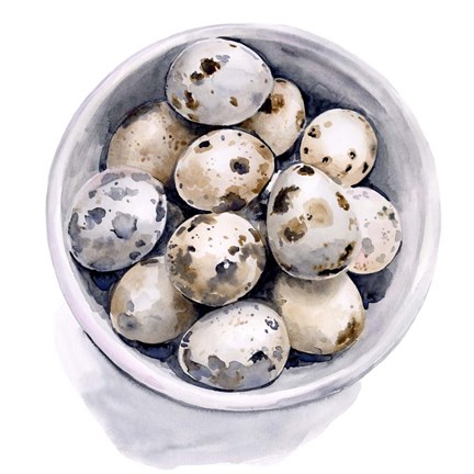 Framed Quail Egg Study II Print