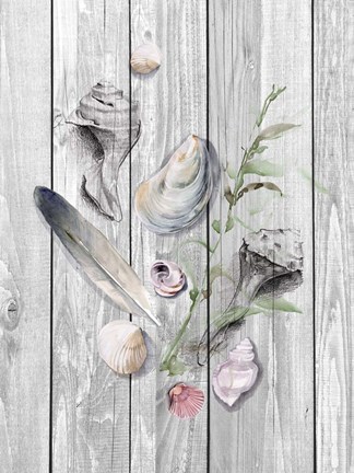 Framed Drifted Ashore II Print