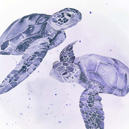 Framed Underwater Halcyon IV Print