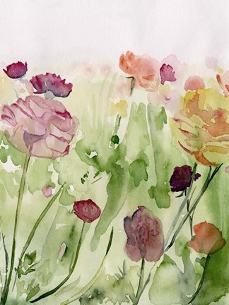 Framed Among the Watercolor Wildflowers II Print
