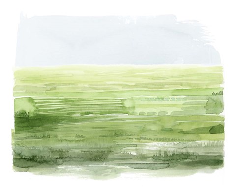 Framed Emerald Moors I Print