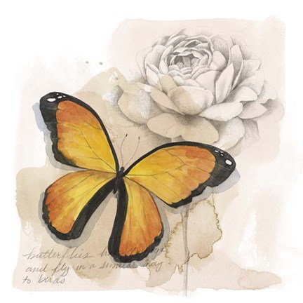 Framed Shadow Box Butterfly IV Print