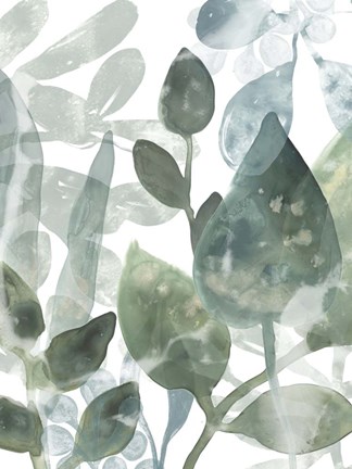 Framed Aquatic Leaves I Print