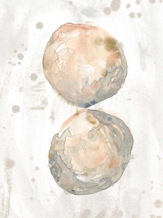 Framed Muted Molusk II Print