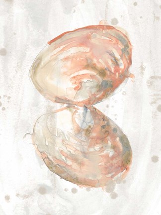 Framed Muted Molusk III Print