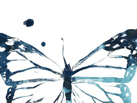Framed Butterfly Imprint III Print