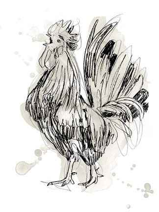 Framed Feathered Fowl II Print