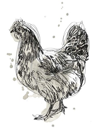 Framed Feathered Fowl IV Print