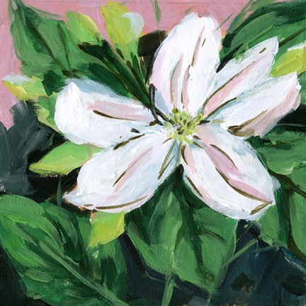 Framed Summer Bride II Print