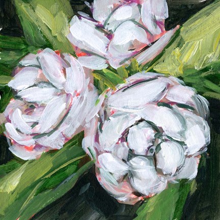 Framed Summer Bride IV Print