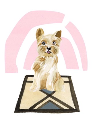 Framed Home Alone III Print