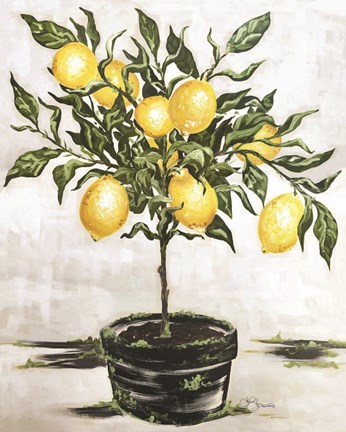 Framed Lemon Tree Print