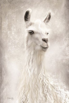 Framed Lulu the Llama Up Close Print