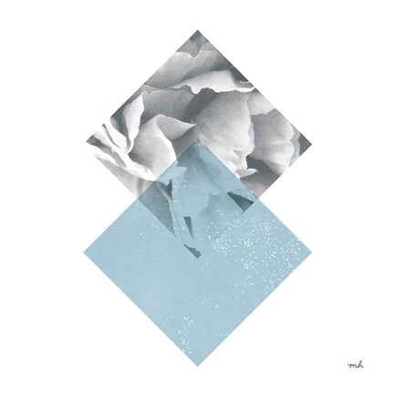 Framed Blossoms III Print