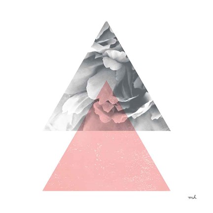 Framed Blossoms II Print