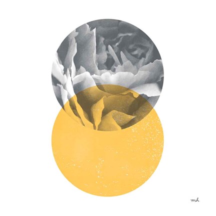 Framed Blossoms I Print