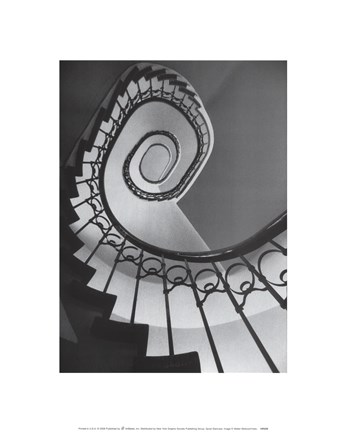 Framed Spiral Staircase Print