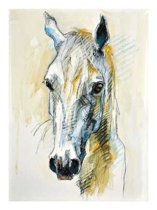 Framed Horse Head Print