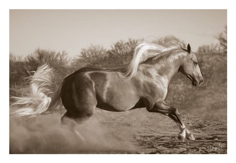 Framed Platinum Centerfold (sepia) Print