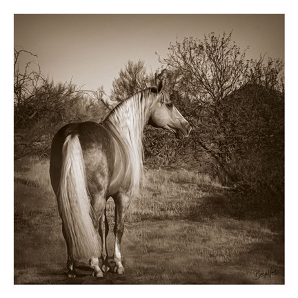 Framed Just Sayin Print