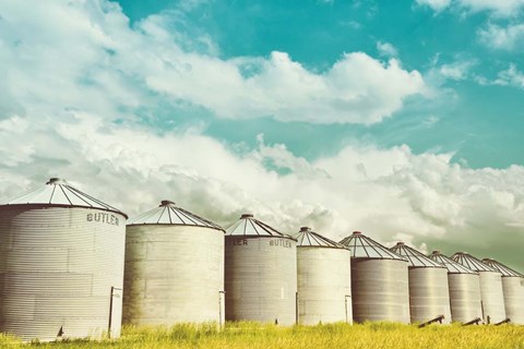 Framed All in a Row Print