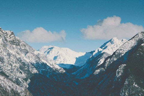 Framed Gaining Altitude Print