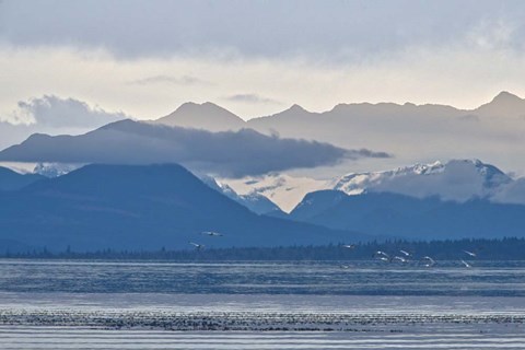Framed Blue Skylines Print