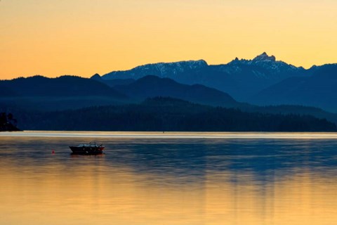 Framed Golden Glow Print