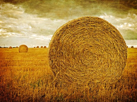 Framed Prince Edward Island Print