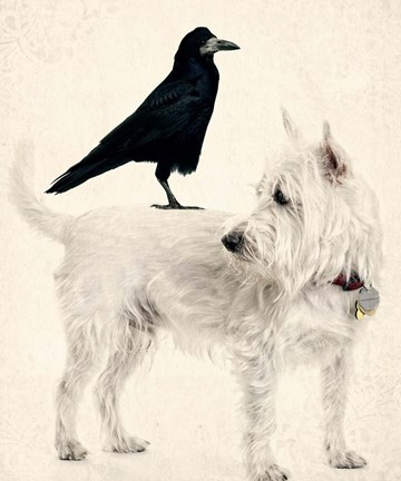 Framed Hitchhiker Print