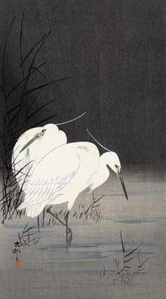 Framed Two Egrets in the Reeds, 1900-1930 Print
