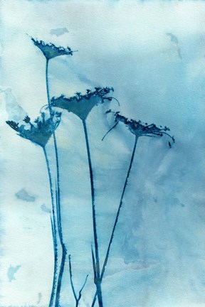 Framed Blue Anne Print