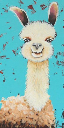 Framed Llama Sue Print