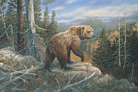 Framed Grizzlies Domain Print