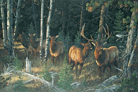 Framed Wilderness Whispers Print