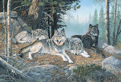 Framed Watchful Eyes Print